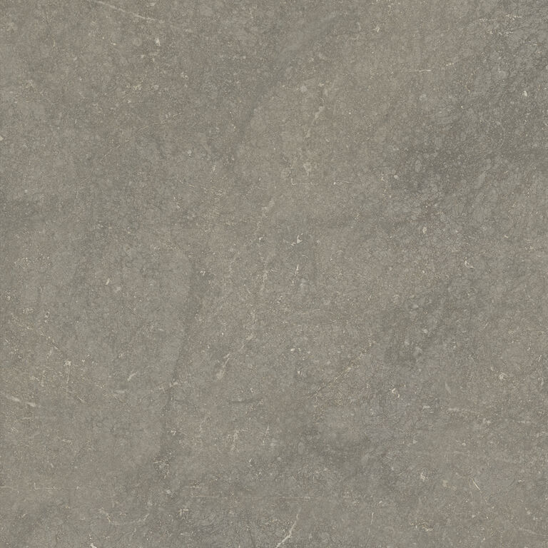 60*60 MUNICH TAUPE MATE (1.44m2/bte//46.08m2/pal)